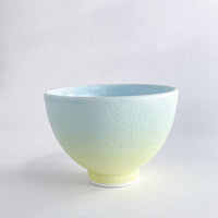 Blush Dawn Crackle Glaze Ceramic Bowl – ASA by Littori